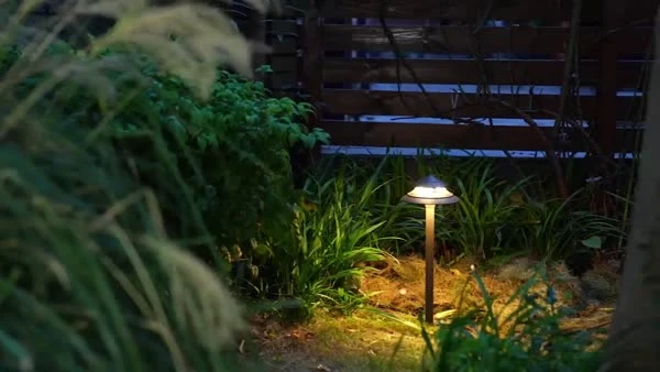 Solar or low-voltage lighting: choosing for the application