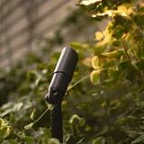3W Low Voltage Spotlight — 8PK
