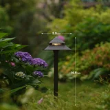3W Low Voltage Path Lights — 8PK