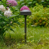 4W Low Voltage Path Lights — 6PK